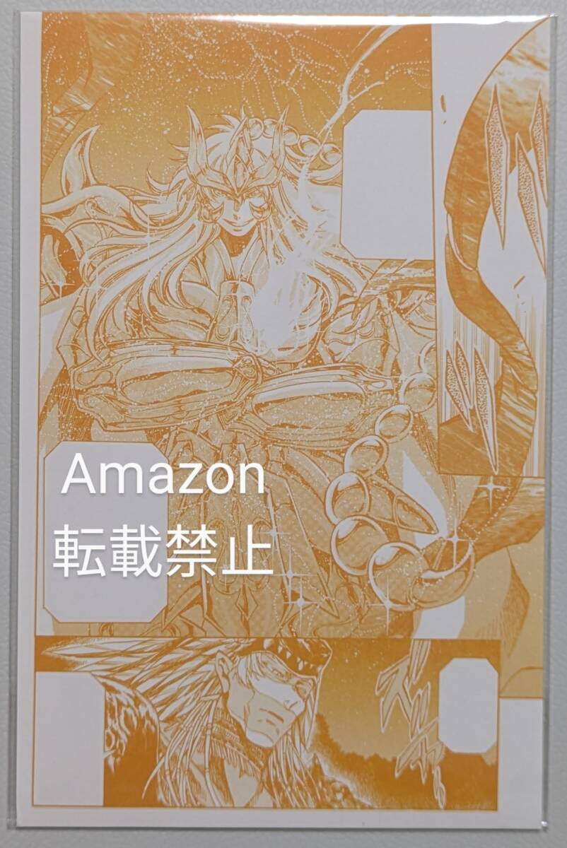 聖闘士星矢 THE LOST CANVAS 冥王神話 外伝 蠍座 カルディア 聖闘士星矢 THE LOST CANVAS 冥王神話 外伝 蠍座 カルディア
