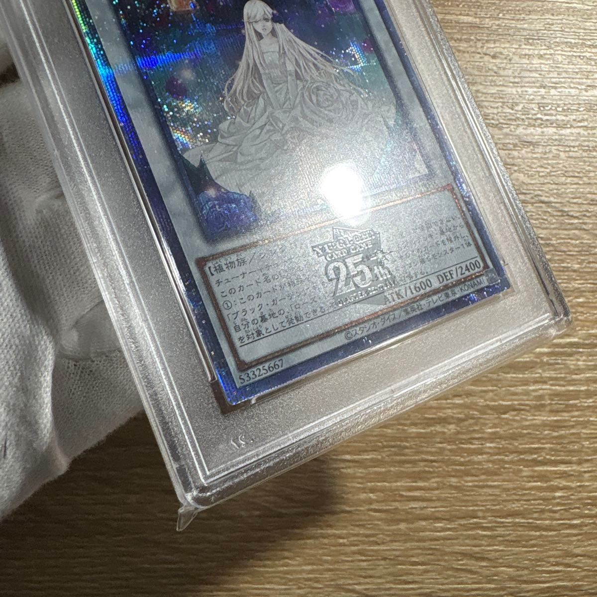 鑑定品 PSA10 】 極美品 世界70枚 ガーデン・ローズ・メイデン 25th|Yahoo!フリマ(旧PayPayフリマ) 鑑定品 PSA10 】 極美品 世界70枚 ガーデン・ローズ・メイデン 25th|Yahoo!フリマ(旧PayPayフリマ)