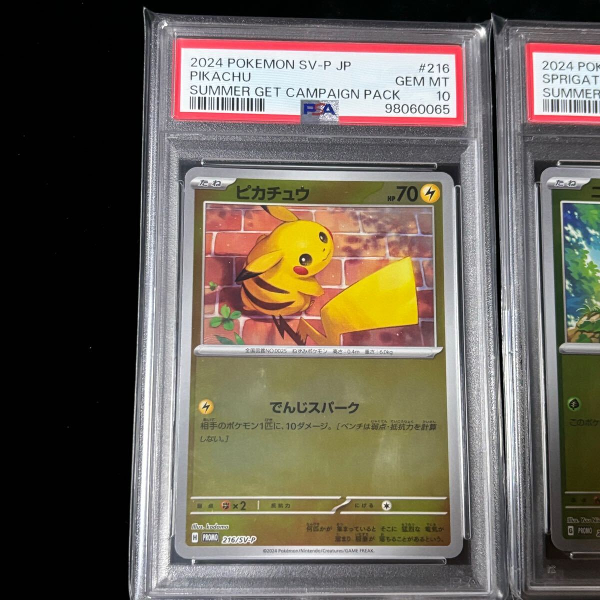 Bibian 比比昂 - PSA 10 ポケモンカード プロモカード ニャオハ Bibian 比比昂 - PSA 10 ポケモンカード プロモカード ニャオハ