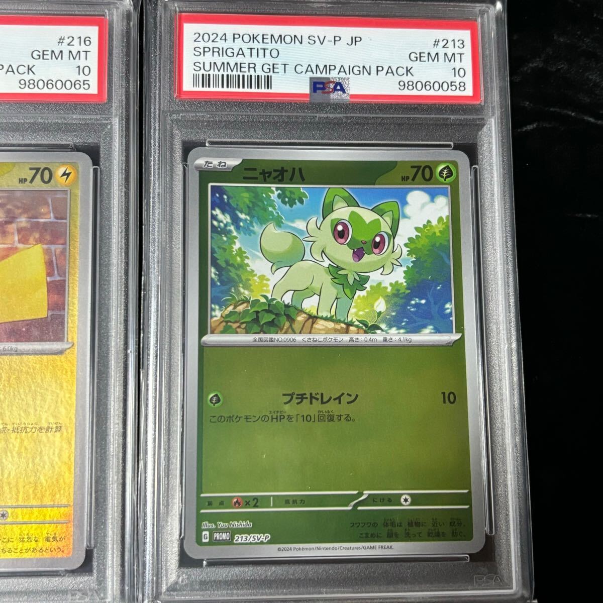 Bibian 比比昂 - PSA 10 ポケモンカード プロモカード ニャオハ Bibian 比比昂 - PSA 10 ポケモンカード プロモカード ニャオハ