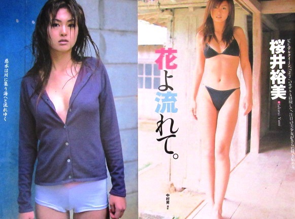 ヤフオク 桜井裕美 モデル 切り抜き40ページ 即決 ヤフオク 桜井裕美 モデル 切り抜き40ページ 即決