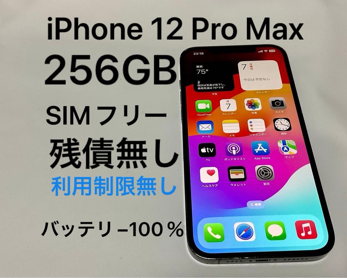 iPhone 12 Pro Max 256GB SIMフリー グライファイト グレー 黒 iPhone 12 Pro Max 256GB SIMフリー グライファイト グレー 黒
