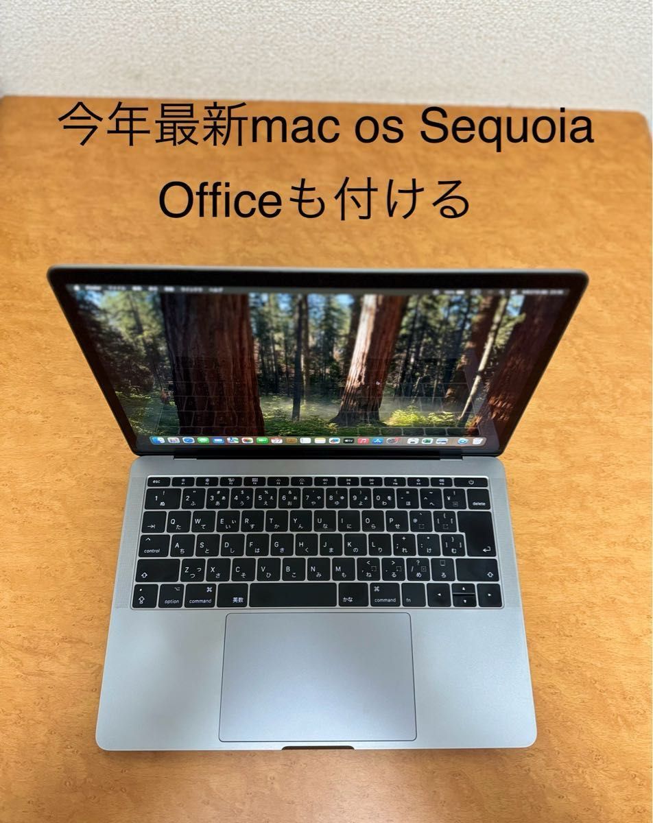美品Macbook Pro 13インチ 2017 最新mac os Sequoia 美品Macbook Pro 13インチ 2017 最新mac os Sequoia