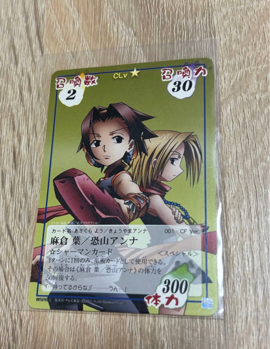 シャーマンキング 超・占事略決 カードゲーム 麻倉葉/恐山アンナ シャーマンキング 超・占事略決 カードゲーム 麻倉葉/恐山アンナ