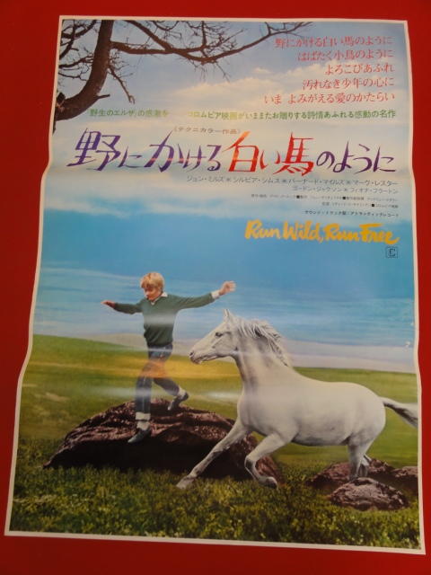 ub42572『野にかける白い馬のように』B2判ポスター マーク・レスター　ジョン・ミルズ　シルヴィア・シムズ_画像1