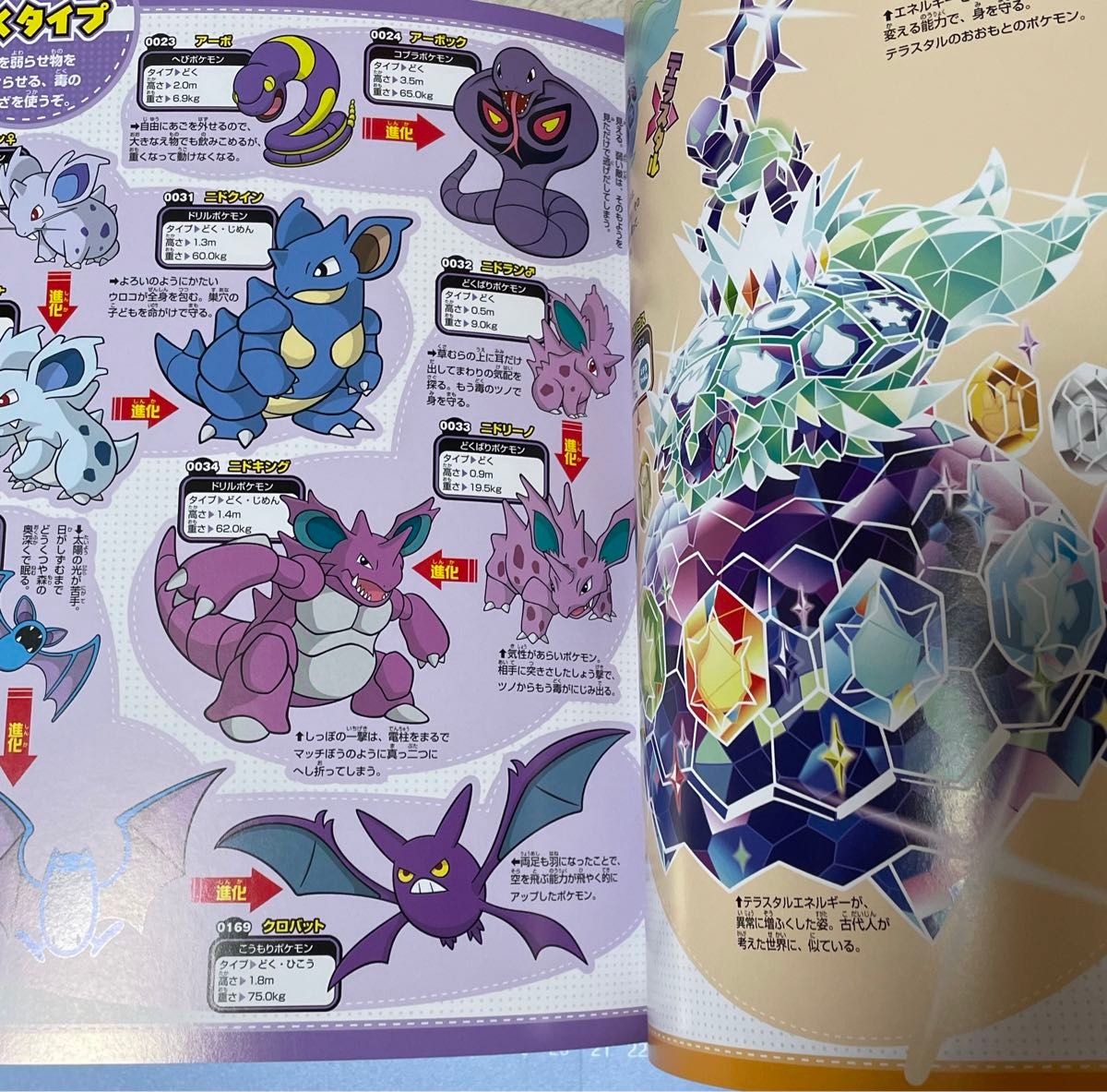 ポケモン大図鑑1020+(2024年8月3日 第2刷発行)|Yahoo ポケモン大図鑑1020+(2024年8月3日 第2刷発行)|Yahoo