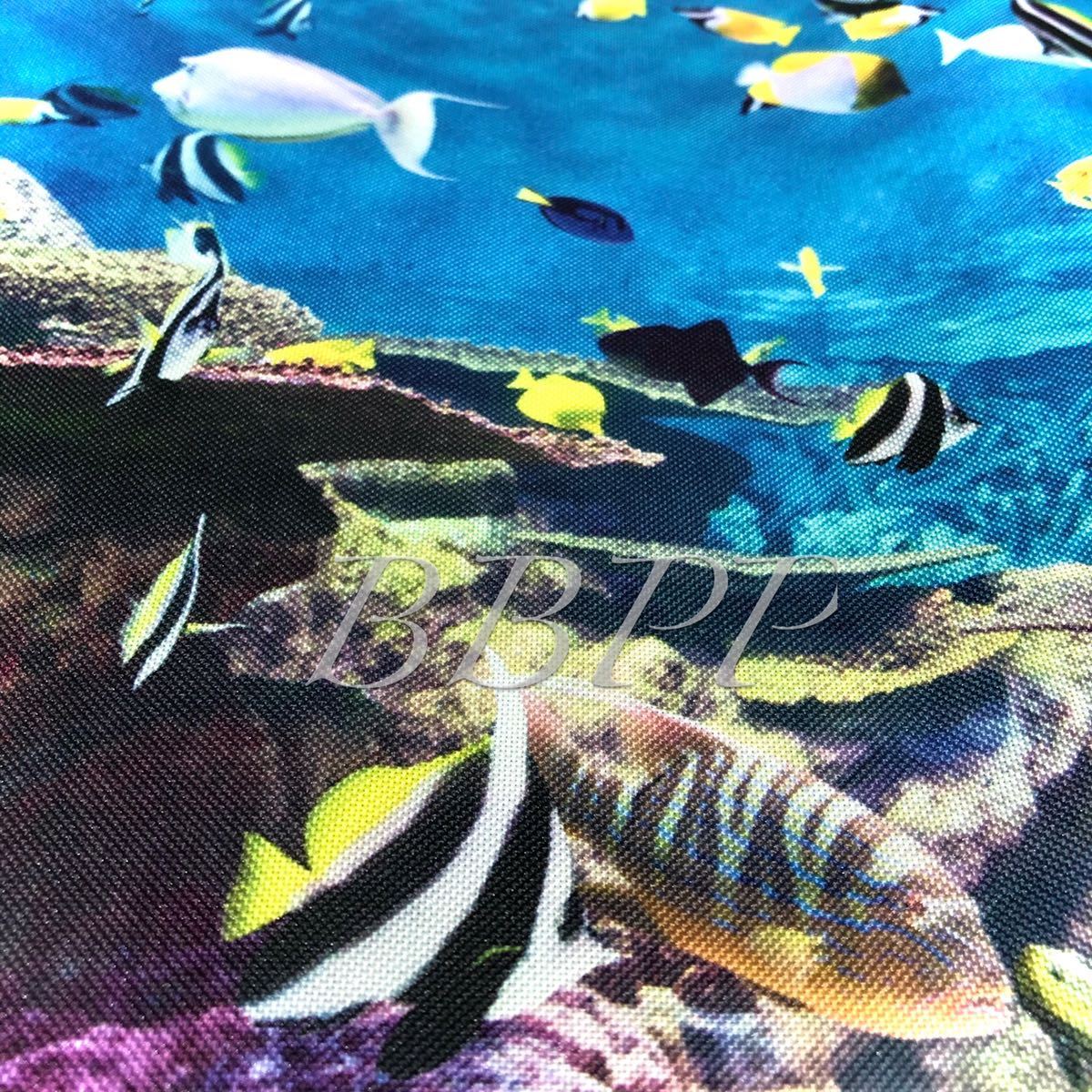 31×46 海水魚 ポスター/珊瑚 コーラル 水中 波 海 サーフ マリン ハワイ ハワイアン サーフィン ダイバー ダイビング サンゴ礁 熱帯魚 魚_画像2