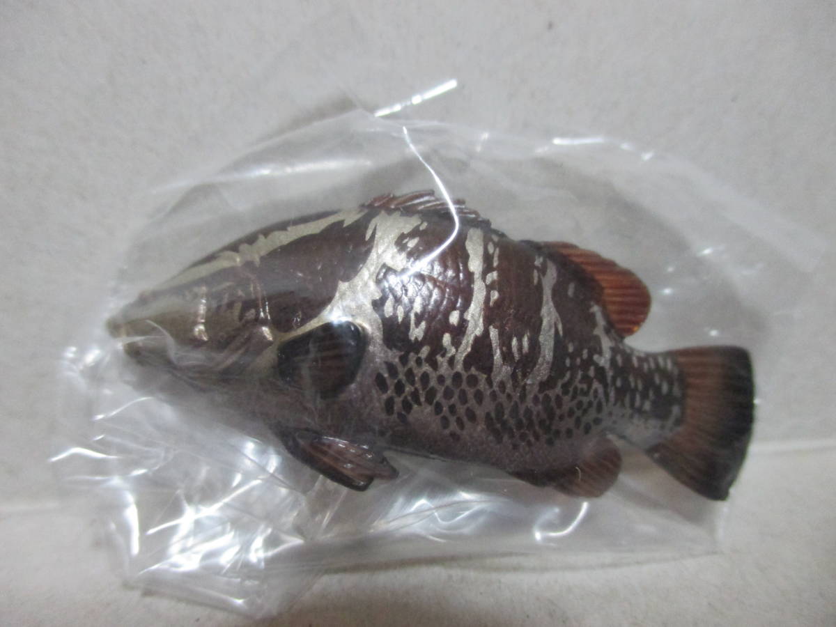 中国四国物産展 四万十川のアカメ (A)(B) 2個 高知県 アカメ 赤目 魚 淡水魚 巨大魚 アクアテイルズ 海洋堂 中国四国 フィギュア みやげ_画像8