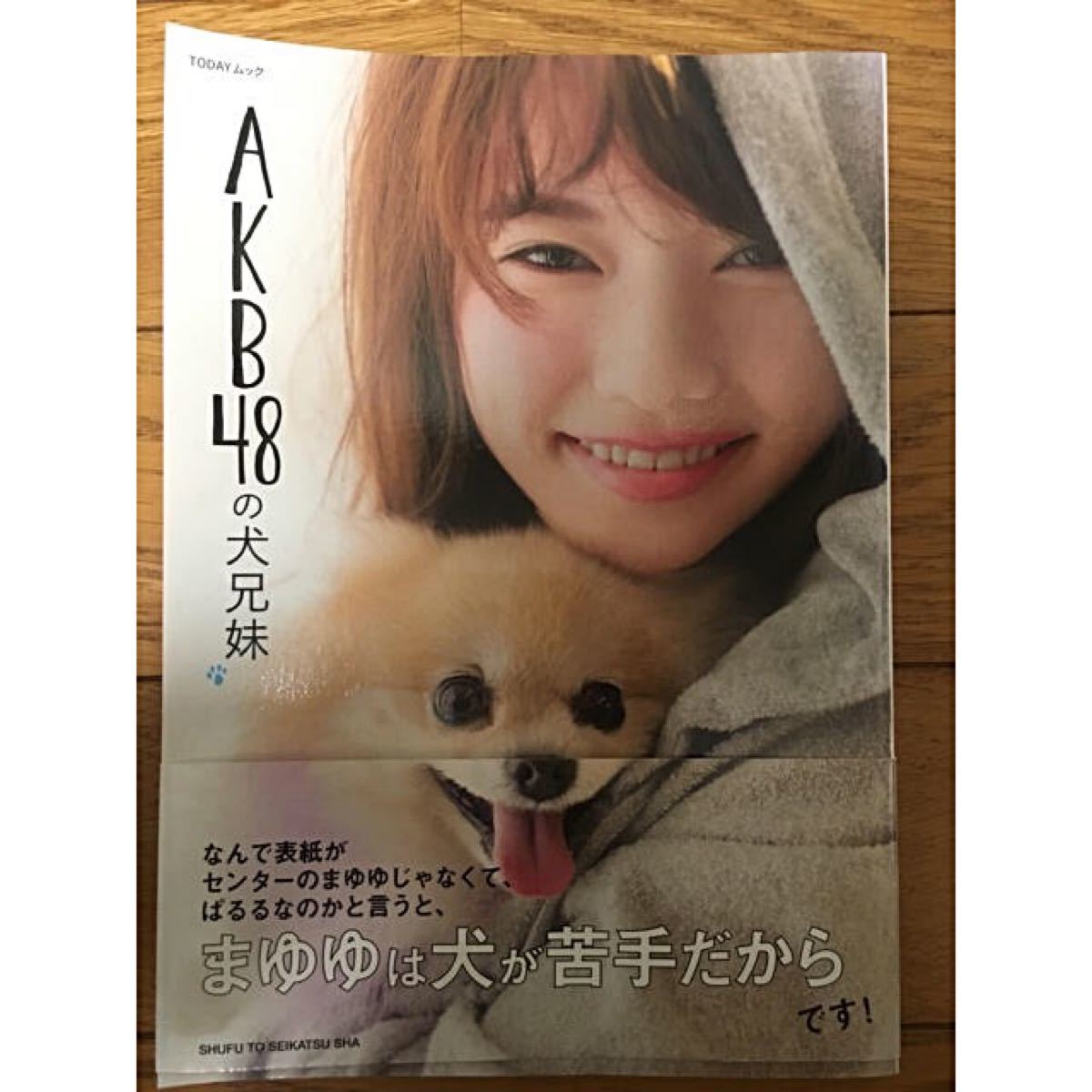 AKB48の犬兄弟