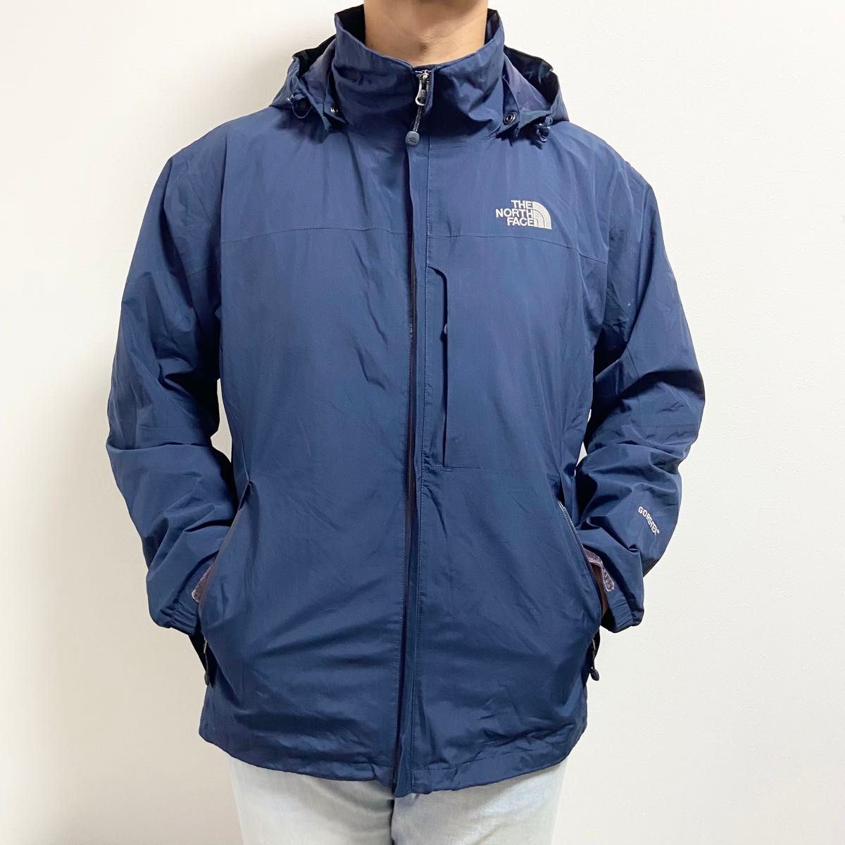 売れ筋商品 日本未入荷 海外限定モデル ノースフェイス FACE NORTH THE Lサイズ