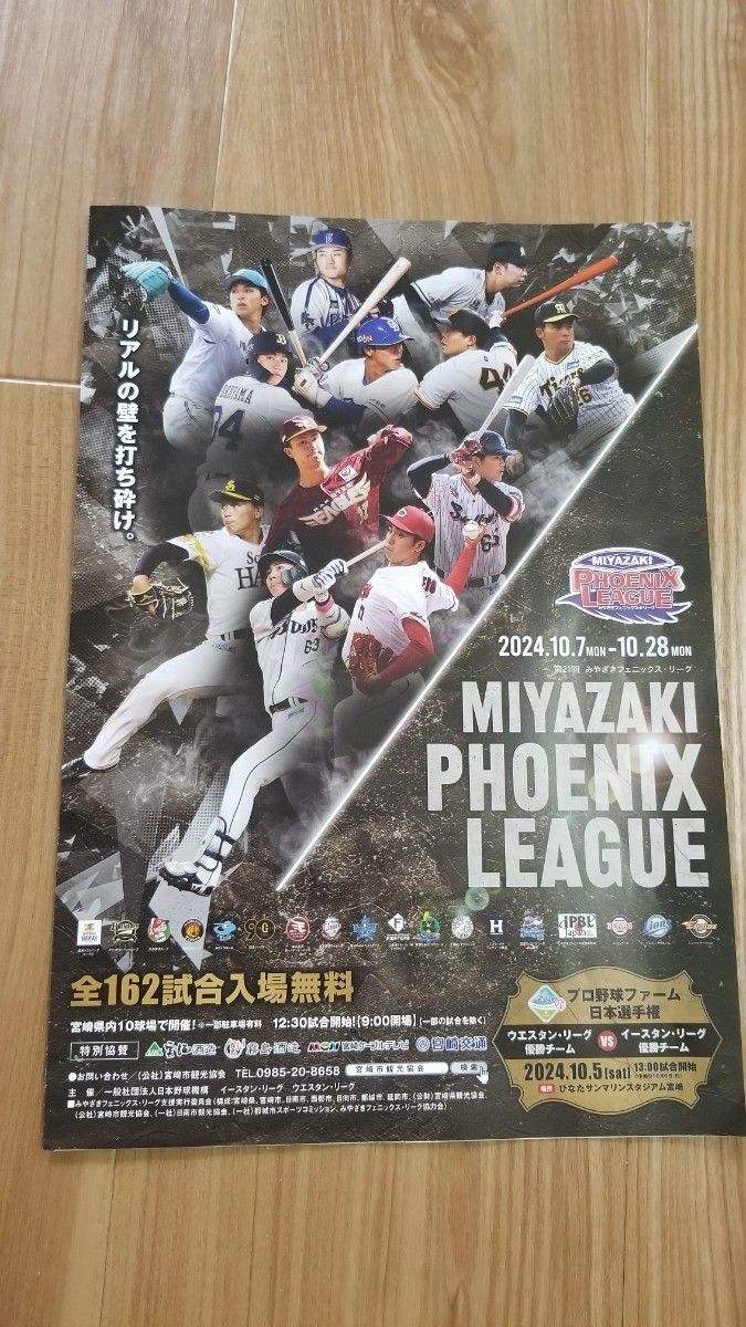 プロ野球 直筆サイン 椎葉剛選手 阪神タイガース 直筆サイン色紙 プロ野球 直筆サイン 椎葉剛選手 阪神タイガース 直筆サイン色紙