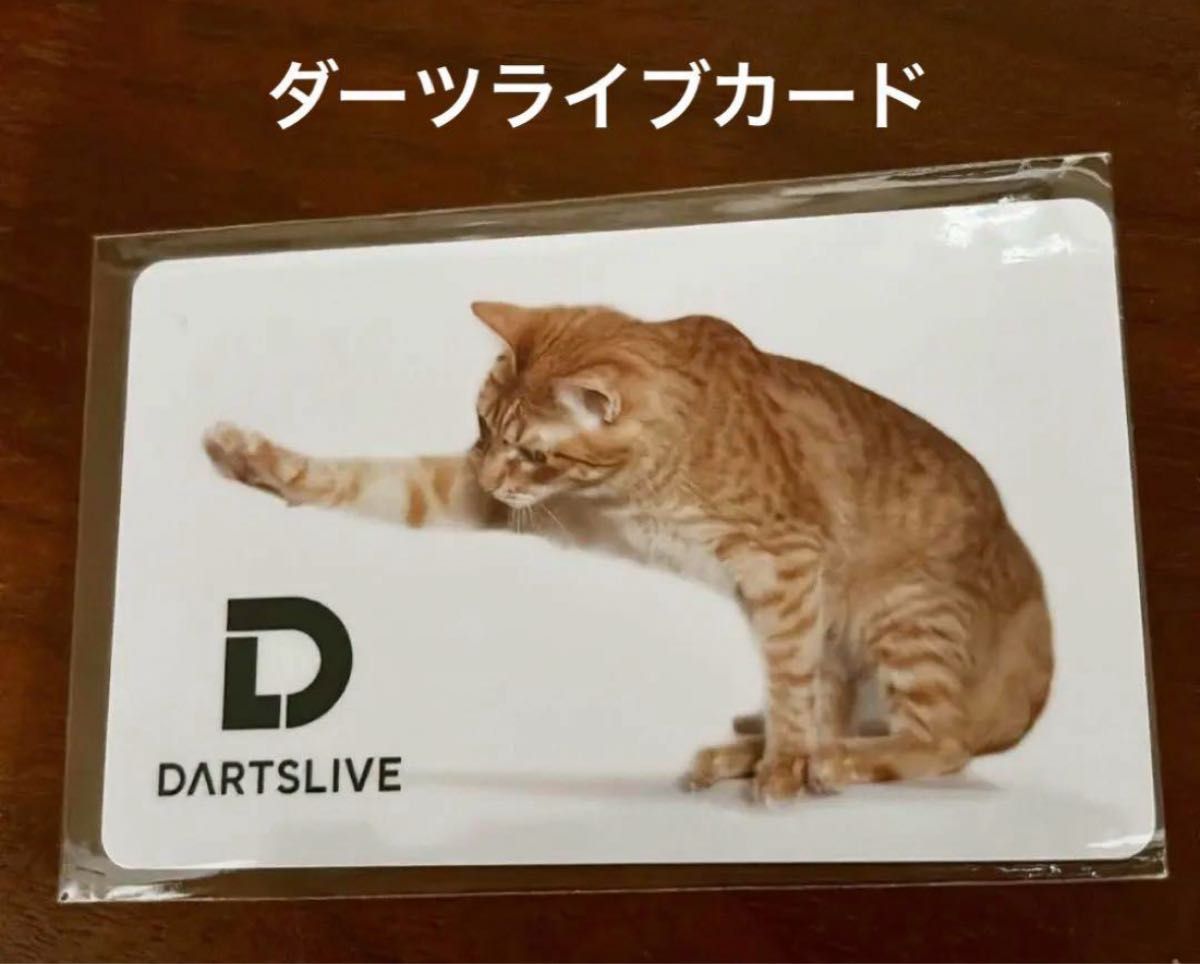 遊ぶネコ ダーツライブカード ねこ ダーツハイブ 猫 ダーツ cat 動物 遊ぶネコ ダーツライブカード ねこ ダーツハイブ 猫 ダーツ cat 動物