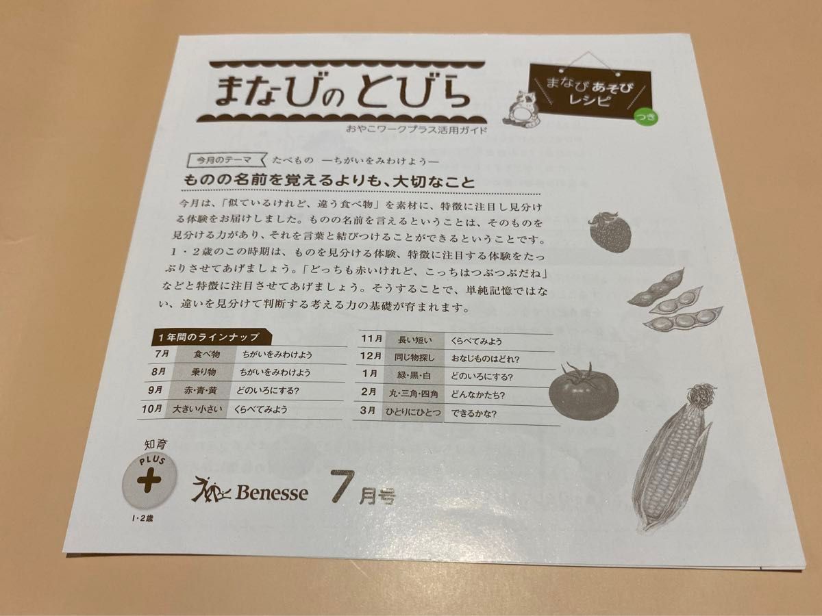 しまじろう こどもちゃれんじ DVD 19枚+サンプル7枚+英語 しまじろう こどもちゃれんじ DVD 19枚+サンプル7枚+英語