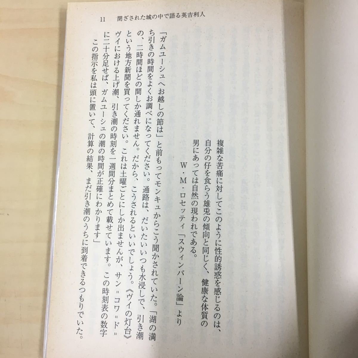 閉ざされた城の中で語る英吉利人 ピェール・モリオン_画像6