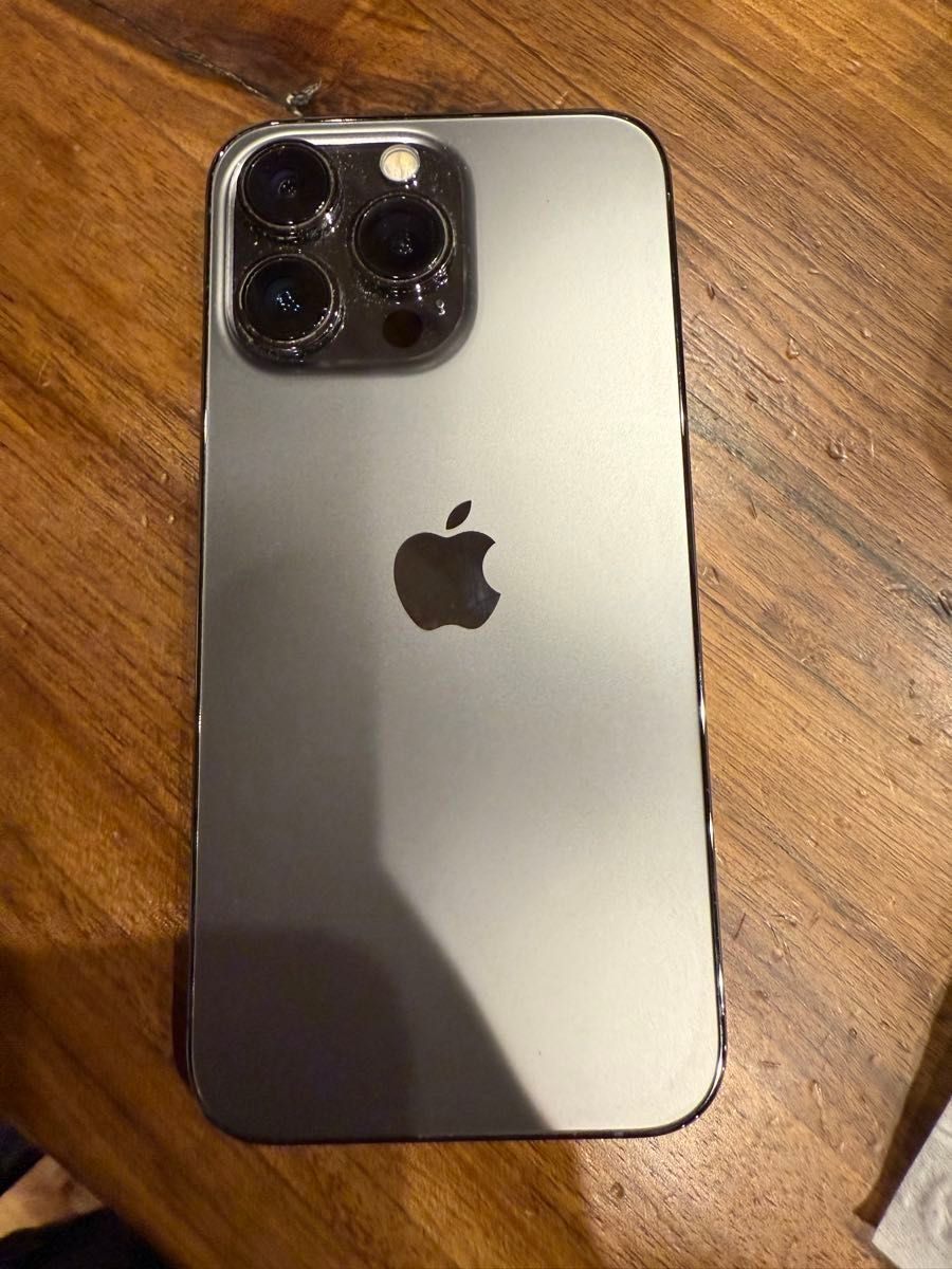 iPhone 13 Pro グラファイト (256GB)バッテリー交換済み iPhone 13 Pro グラファイト (256GB)バッテリー交換済み
