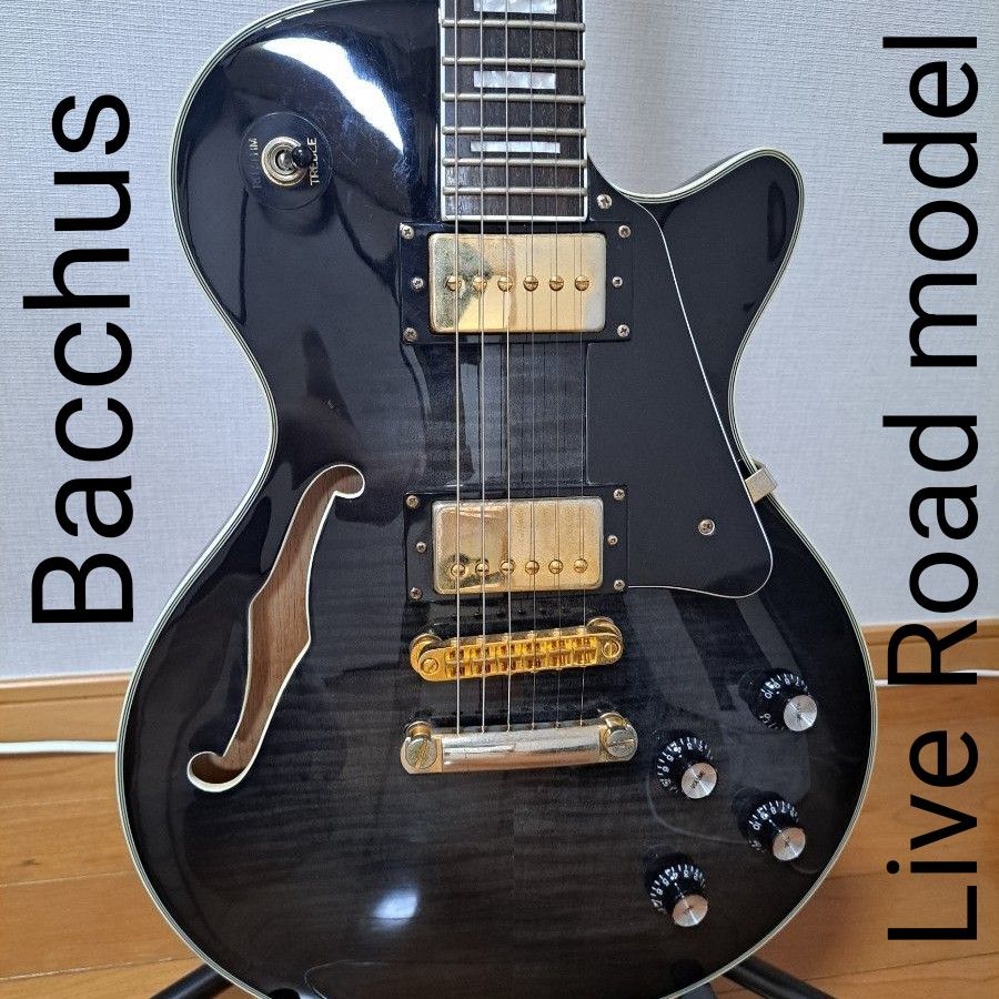 Bacchus Live Road モデル セミアコ ギターケース付き 黒 青 金 Bacchus Live Road モデル セミアコ ギターケース付き 黒 青 金