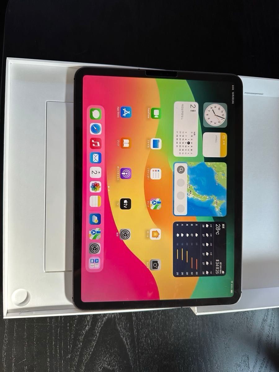 iPad Pro Wi-Fiモデル Cellular 第一世代 64GB モデル + Apple iPad Pro Wi-Fiモデル Cellular 第一世代 64GB モデル + Apple