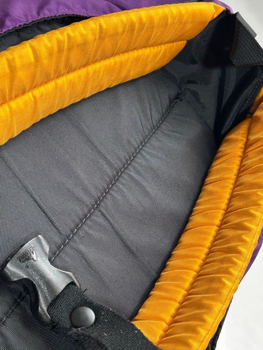 限定品 USA製 GREGORY グレゴリー デイパック 26L マルチカラー 限定品 USA製 GREGORY グレゴリー デイパック 26L マルチカラー
