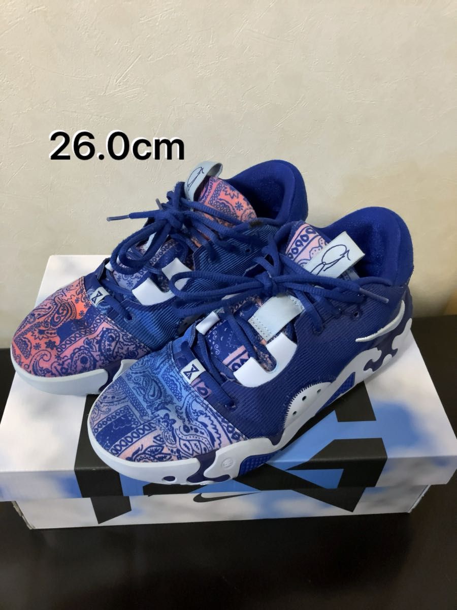 26.0cm NIKE PG 6 EP