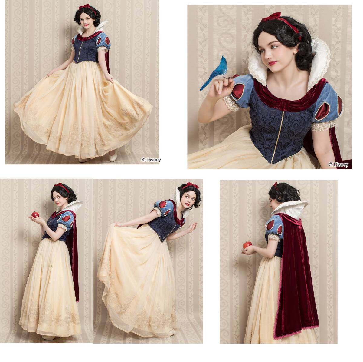 シークレットハニー 初期 白雪姫ドレス 仮装 衣装 コスプレ 大人 シークレットハニー 初期 白雪姫ドレス 仮装 衣装 コスプレ 大人