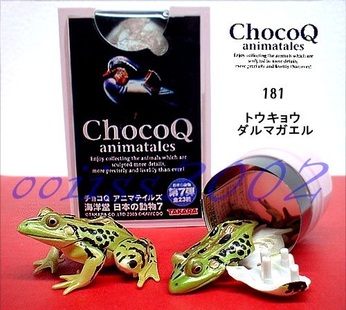 □チョコQ アニマテイルズ 日本の動物 第7弾 トウキョウダルマガエル_画像1