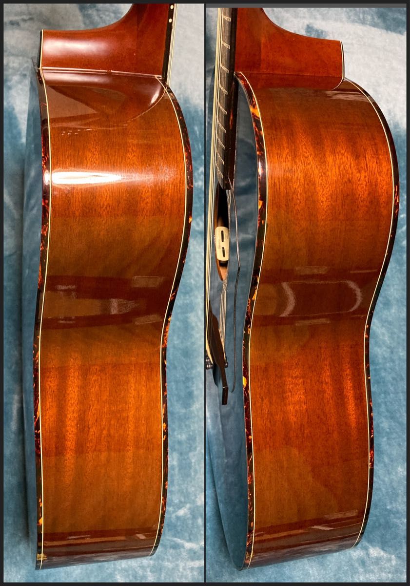Morris MW650P TS モーリスエレアコギター モーリス|Yahoo Morris MW650P TS モーリスエレアコギター モーリス|Yahoo