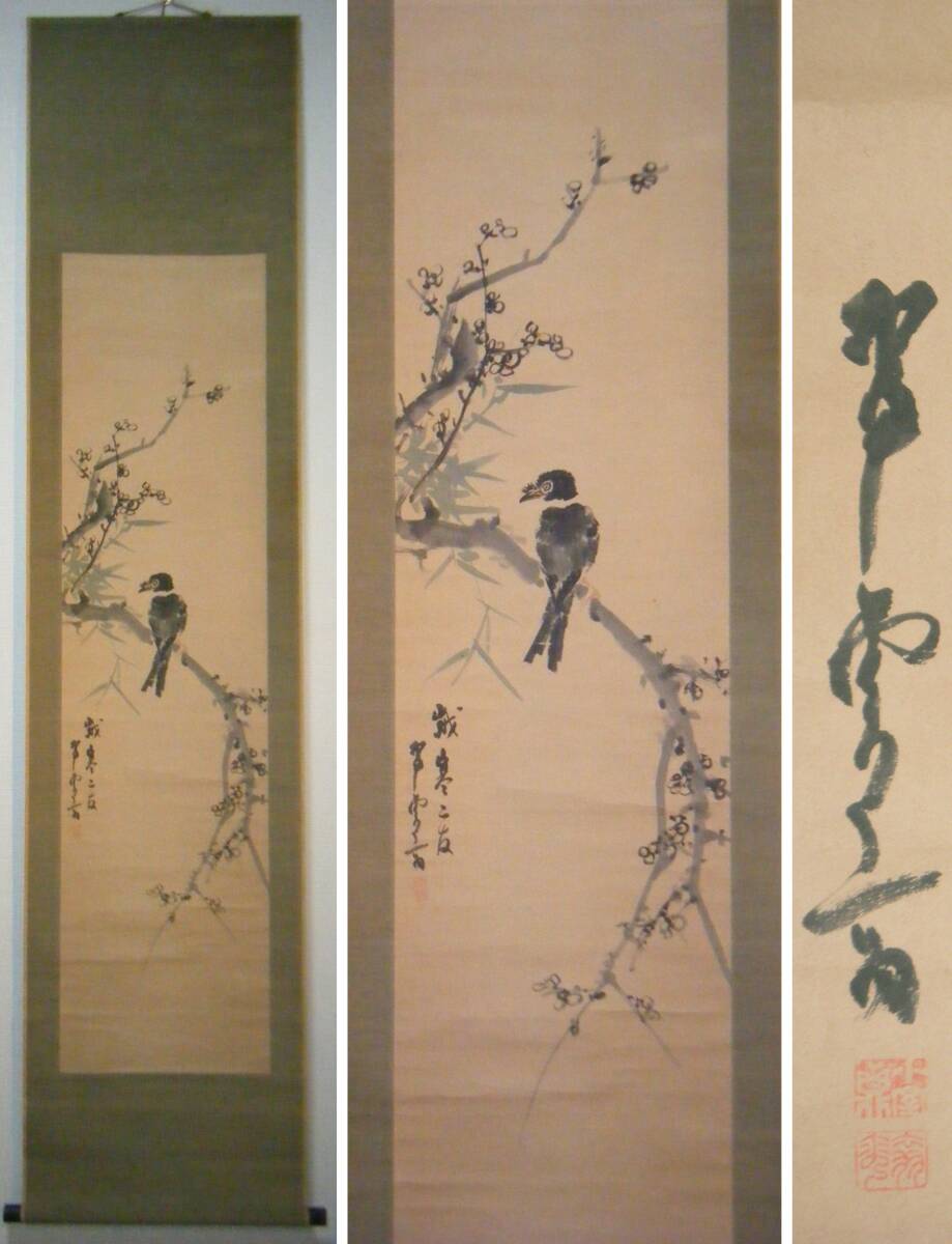 真作】掛軸 小室翠雲 梅に八哥鳥 文展審査員 逸品 合箱入 P14 真作】掛軸 小室翠雲 梅に八哥鳥 文展審査員 逸品 合箱入 P14