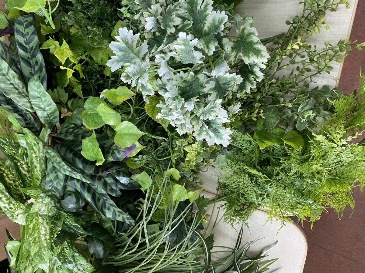 ② 人工観葉植物 フェイクグリーン 大量 サインディスプレイ ② 人工観葉植物 フェイクグリーン 大量 サインディスプレイ