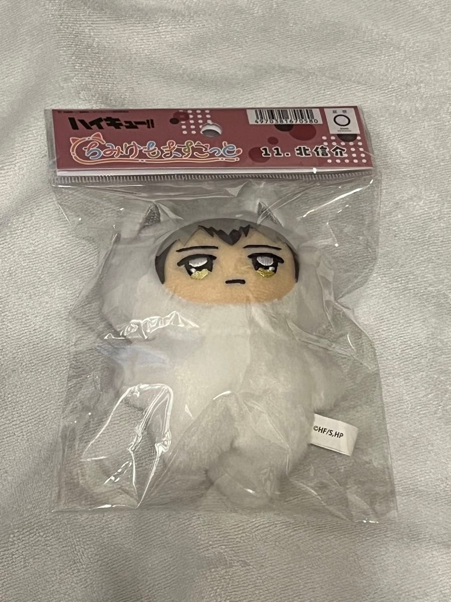 ハイキューちみけもますこっとちみけもますこっとマスコット ハイキューちみけもますこっとちみけもますこっとマスコット