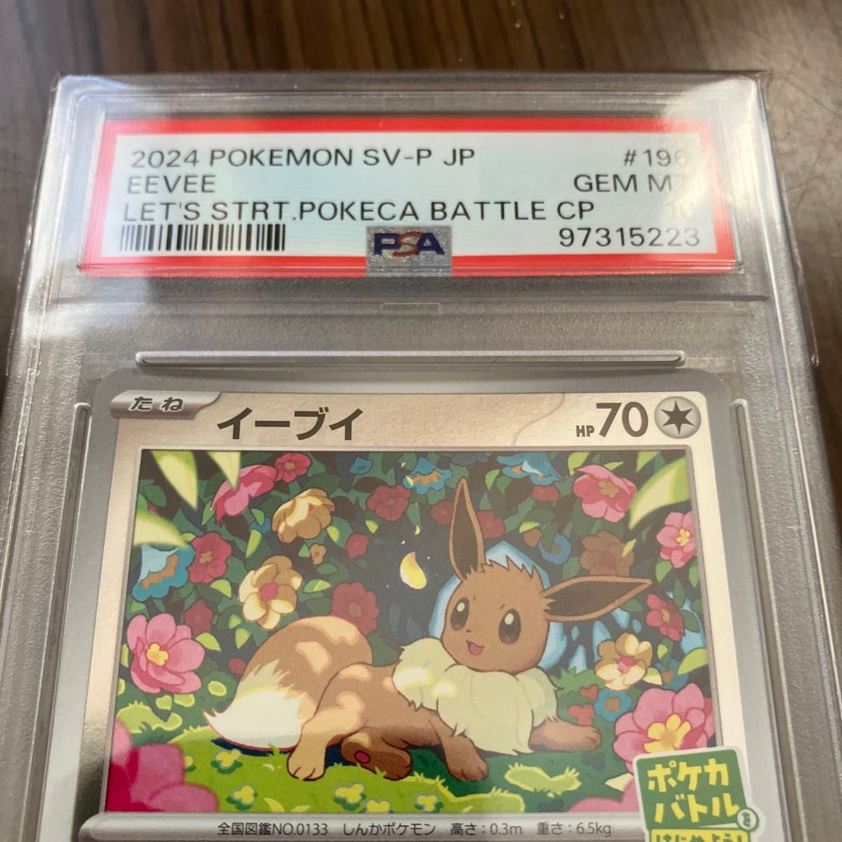 PSA10】イーブイ 196/SV-P ポケカバトルはじめよう ポケモン PSA10】イーブイ 196/SV-P ポケカバトルはじめよう ポケモン