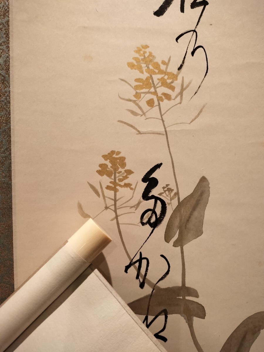模写/川端龍子/蝦図(エビ)/桐箱二重箱付/布袋屋掛軸HD-744 模写】/川端龍子/蝦図(エビ)/桐箱二重箱付/布袋屋掛軸HD-744
