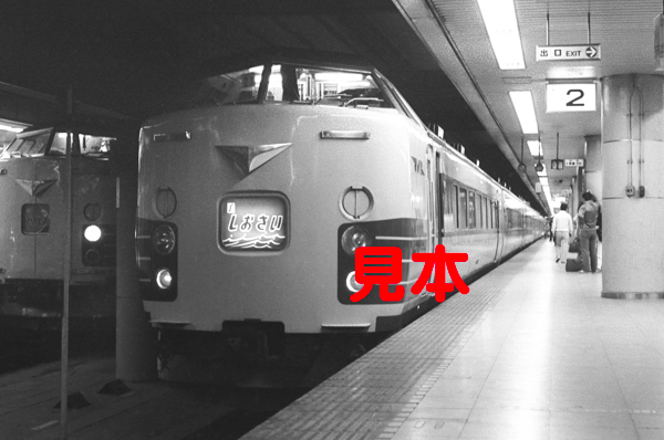 鉄道写真、35ミリネガデータ、02028390015、183系、特急しおさい号、東京駅、1983.05.01、（2819×1869）_画像1