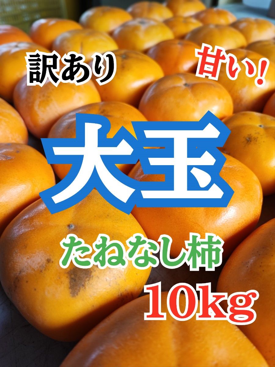 大玉のみ！!(2L~4L)たねなし柿10㎏南佐渡産