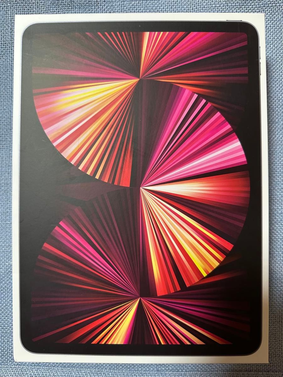 極美品 注意点あり iPad Pro 11 第3世代 256GB 2021年式 M1 極美品 注意点あり iPad Pro 11 第3世代 256GB 2021年式 M1