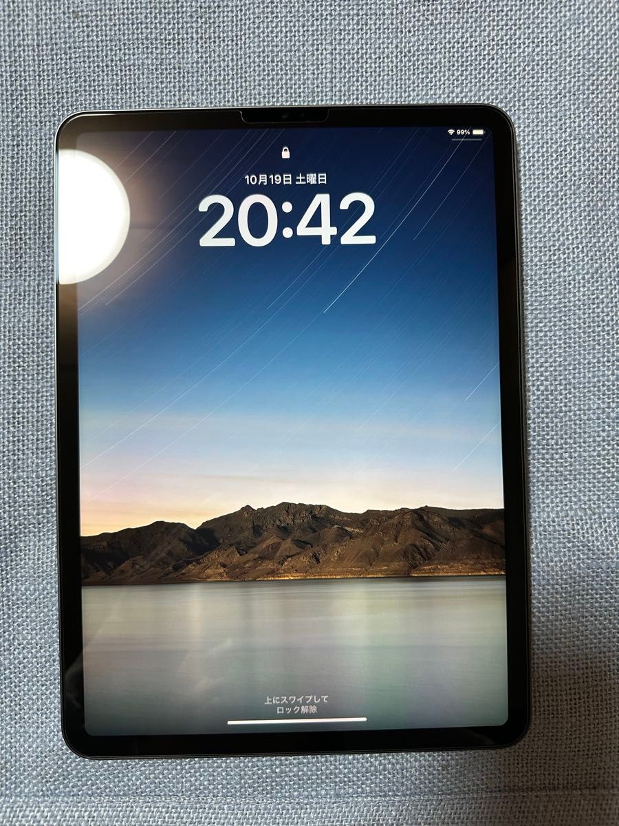 極美品 注意点あり iPad Pro 11 第3世代 256GB 2021年式 M1 極美品 注意点あり iPad Pro 11 第3世代 256GB 2021年式 M1
