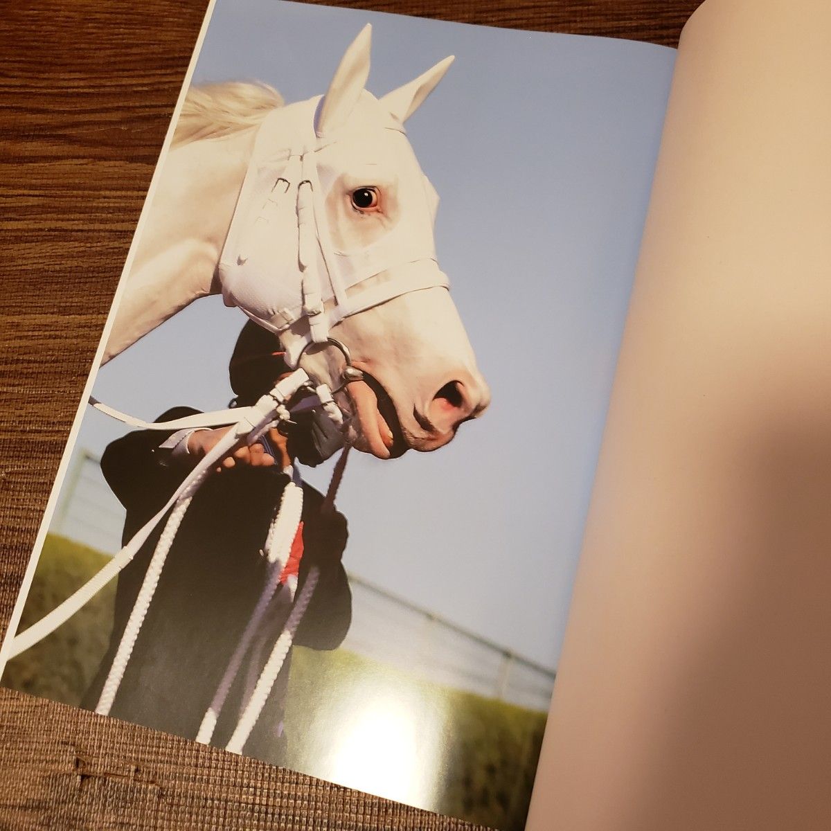 ソダシ写真集 白く強く輝く 特典動画が見られるQRコード付き ソダシ写真集 白く強く輝く 特典動画が見られるQRコード付き