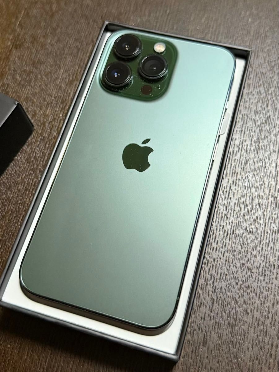 お値下げ】iPhone 13本体 背負え グリーン 256GB SIMフリー お値下げ】iPhone 13本体 背負え グリーン 256GB SIMフリー