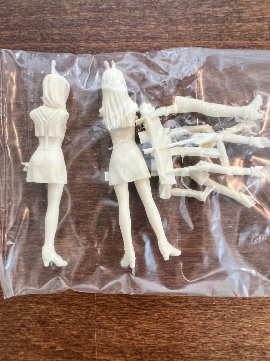 フジミ 1/24 イニシャルD シルエイティ 佐藤真子 沙雪フィギュア フジミ 1/24 イニシャルD シルエイティ 佐藤真子 沙雪フィギュア