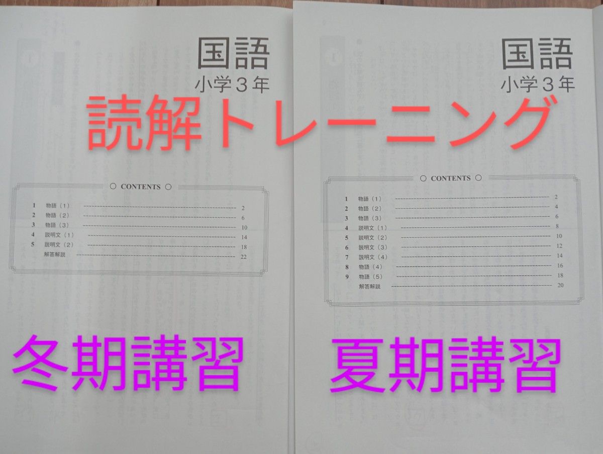 記入済】臨海セミナー中学受験科 小3 徹底テスト集/読解 記入済】臨海セミナー中学受験科 小3 徹底テスト集/読解