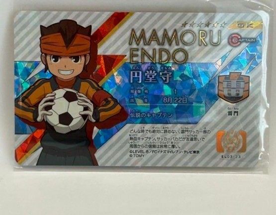 円堂守シークレット イレブンライセンス イナズマイレブン 円堂守シークレット イレブンライセンス イナズマイレブン