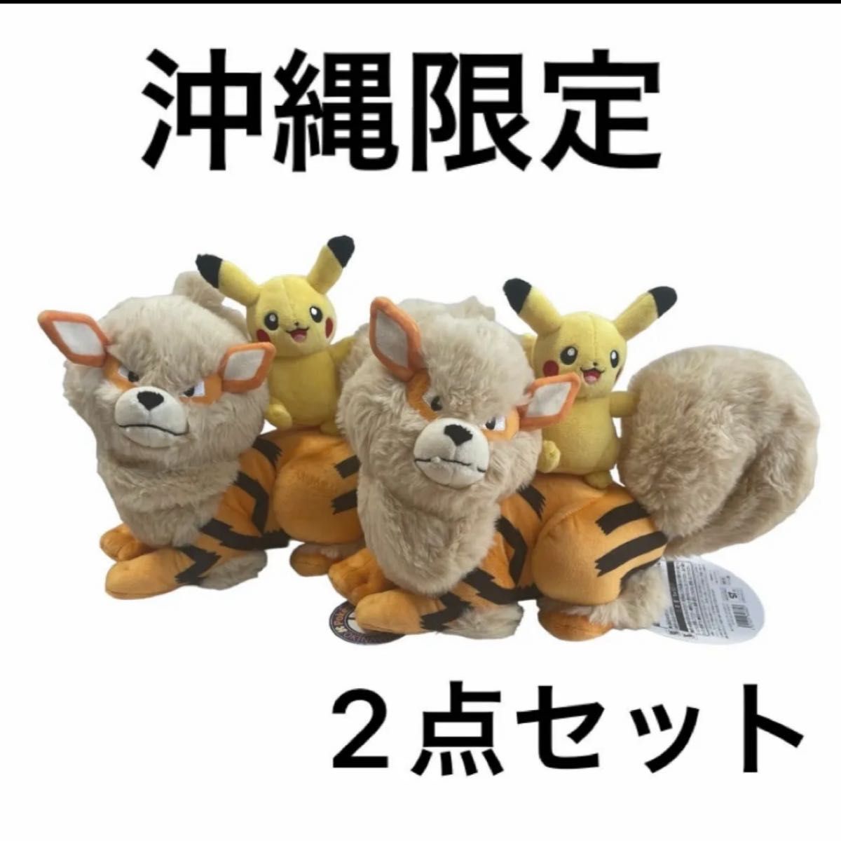 新品タグ付き】ポケモンセンター ウインディ×ピカチュウ 新品タグ付き】ポケモンセンター ウインディ×ピカチュウ