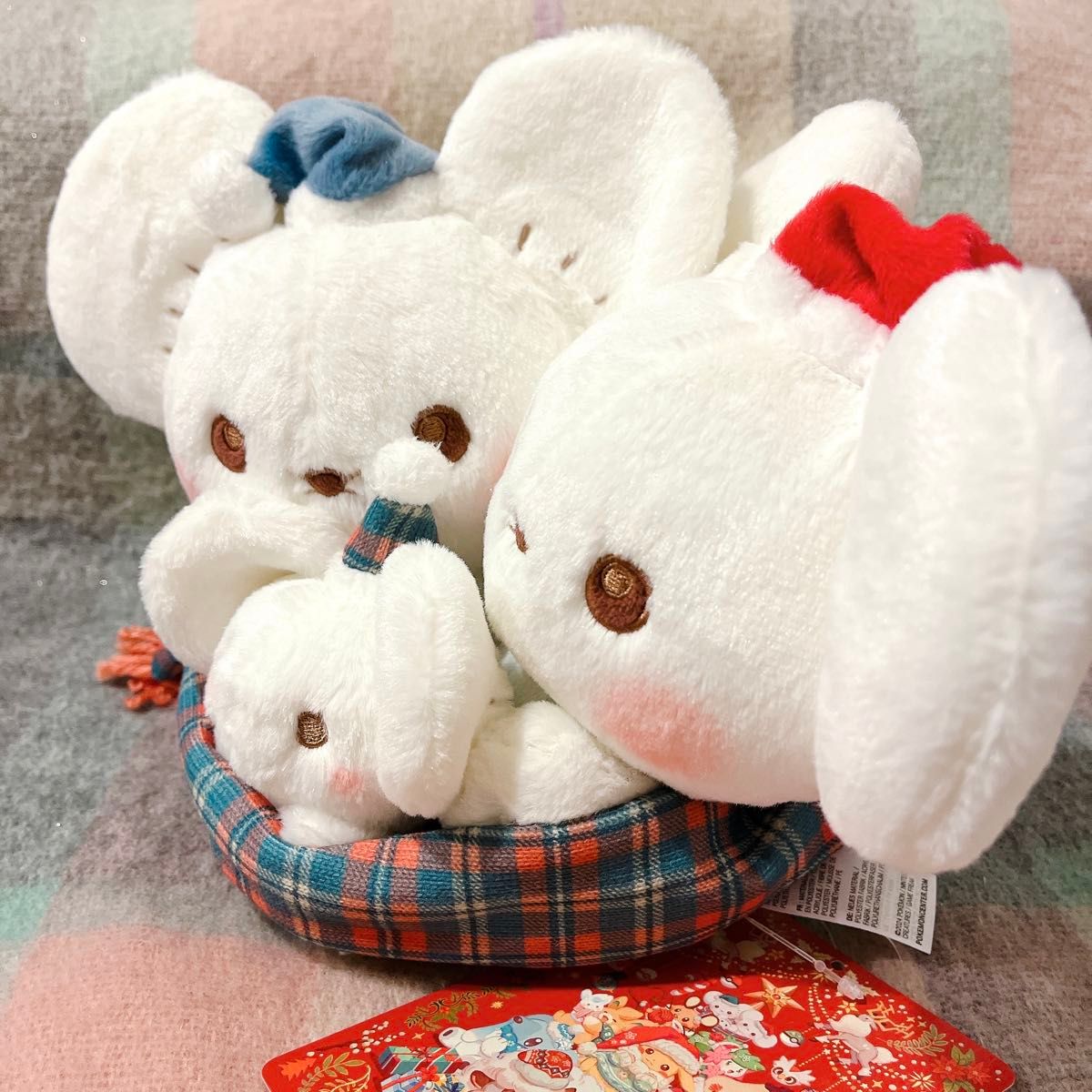 イッカネズミ ポケモン ハートウォーミング クリスマス イッカネズミ ポケモン ハートウォーミング クリスマス