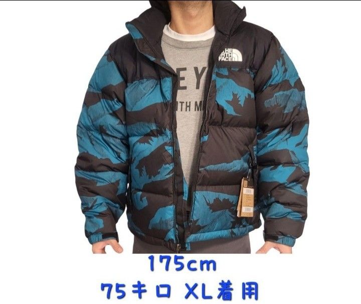 ノースフェイス 1996レトロヌプシ 韓国限定 新品 ダウン ノースフェイス 1996レトロヌプシ 韓国限定 新品 ダウン