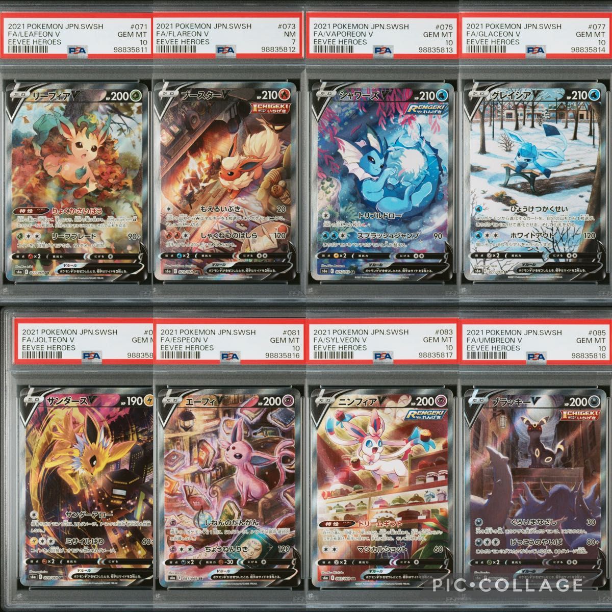 ブイズv sa psa10 8連番ブラッキーv ニンフィアv ブイズv sa psa10 8連番ブラッキーv ニンフィアv