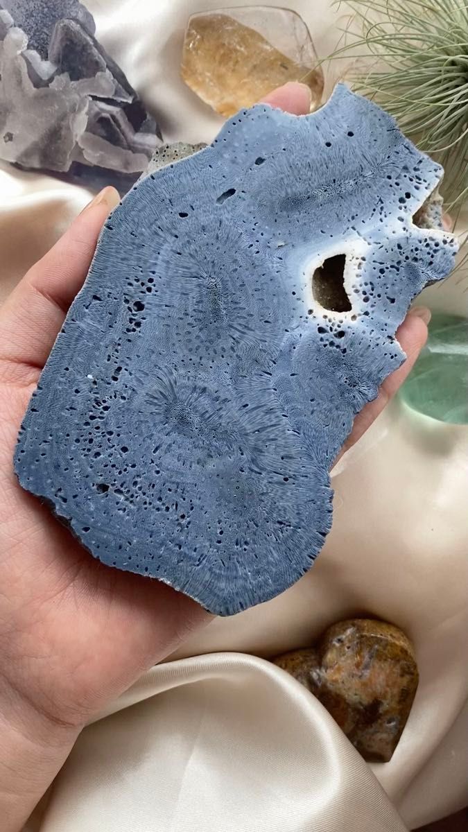 ルース 珊瑚の新品・未使用品・中古品|Yahoo!フリマ(旧PayPay ルース 珊瑚の新品・未使用品・中古品|Yahoo!フリマ(旧PayPay