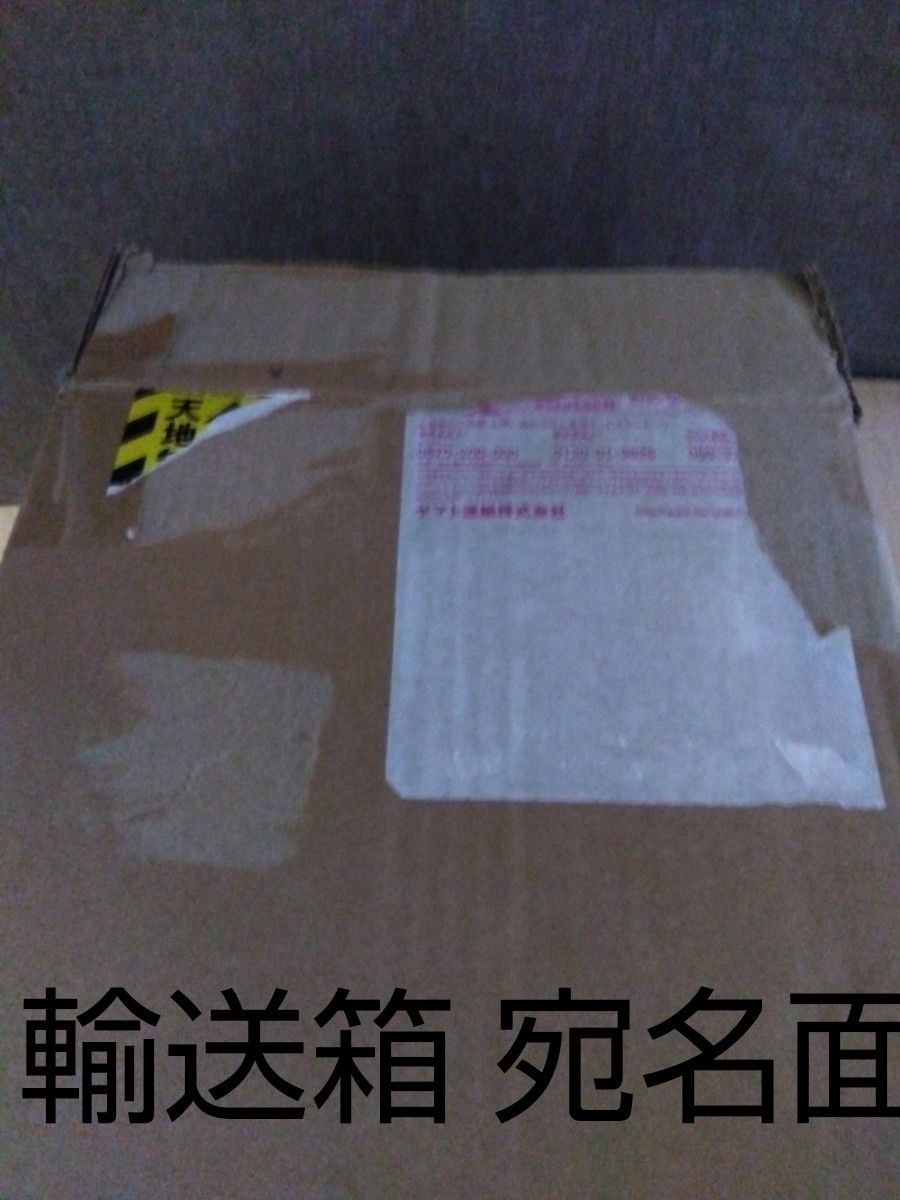 テヤン 櫻井敦司 ATSUSHI SAKURAI x TAEYANG 魅世物小屋が暮れて テヤン 櫻井敦司 ATSUSHI SAKURAI x TAEYANG 魅世物小屋が暮れて