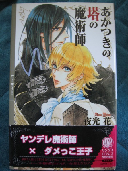夜光花 あかつきの塔の魔術師 新書 良好品 新書 夜光花 あかつきの塔の魔術師 新書 良好品 新書