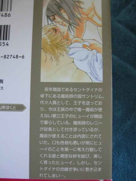 夜光花 あかつきの塔の魔術師 新書 良好品 新書 夜光花 あかつきの塔の魔術師 新書 良好品 新書