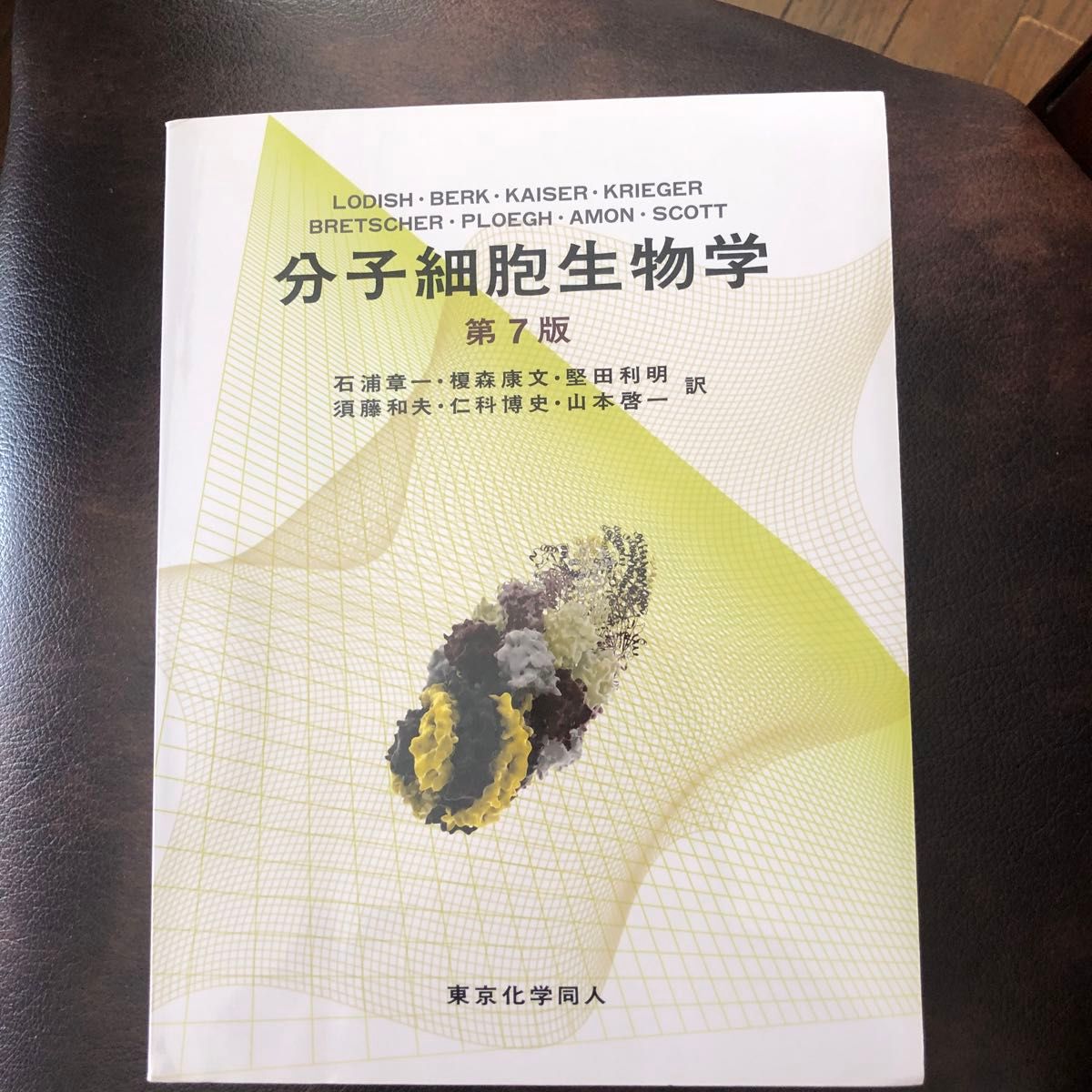分子細胞生物学 (第7版) 分子細胞生物学 (第7版)