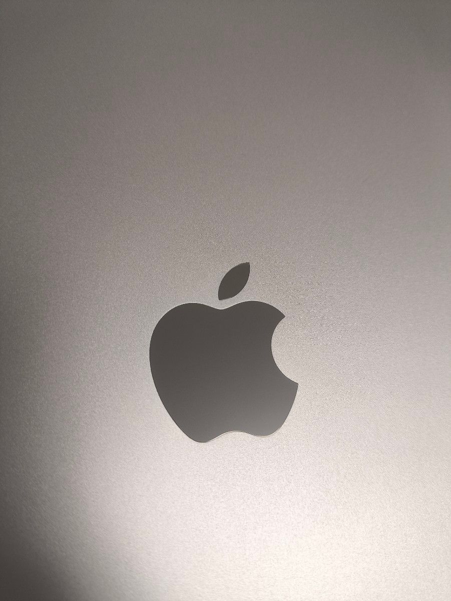 Apple iPad Pro M1 11インチ 第3世代 256GB Wi-Fi + Cellular Apple iPad Pro M1 11インチ 第3世代 256GB Wi-Fi + Cellular